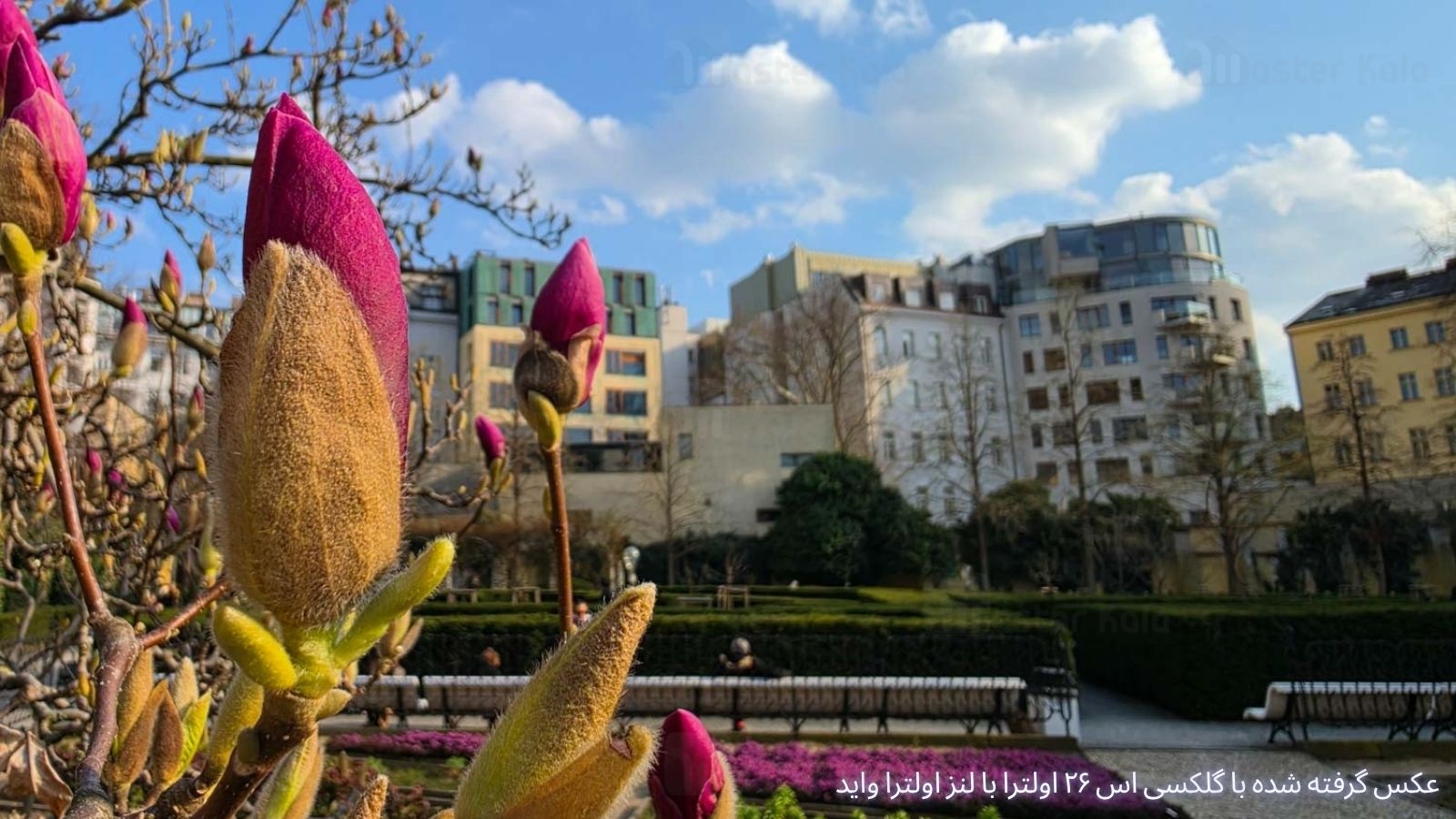 Samsung Galaxy S26 Ultra Camera