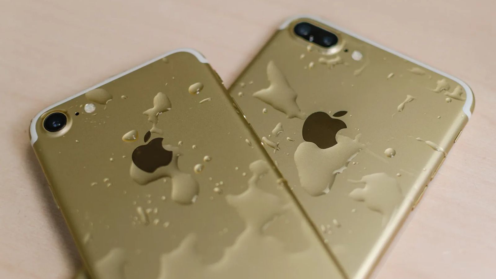 rescue wet phone