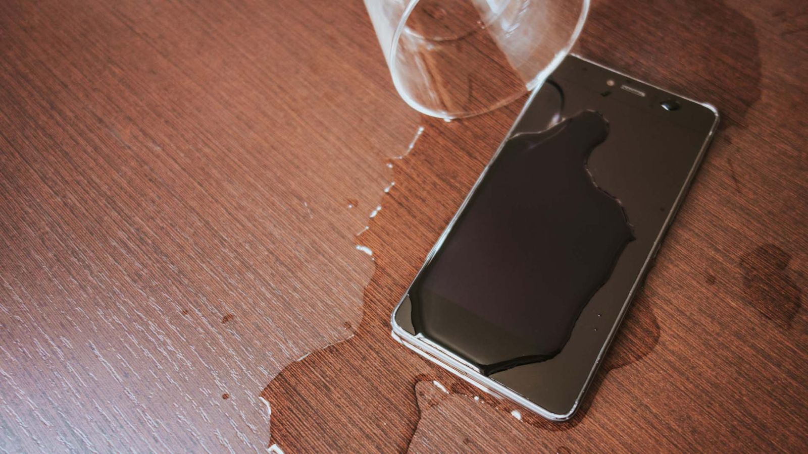 rescue wet phone