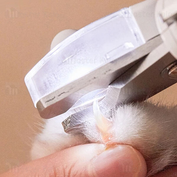 ناخن گیر حیوانات شیائومی Xiaomi PETKIT LED Light Pet Nail Clipper